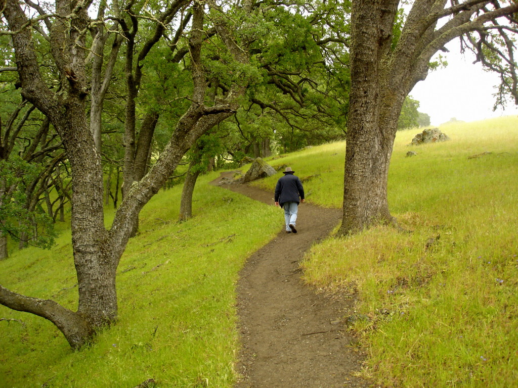 The easier part of the trail