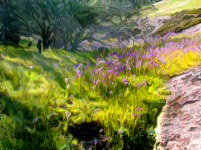 Pinnacles field of flowers