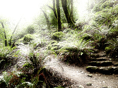 cataract falls trail 1