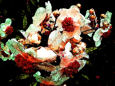 flower painting 2