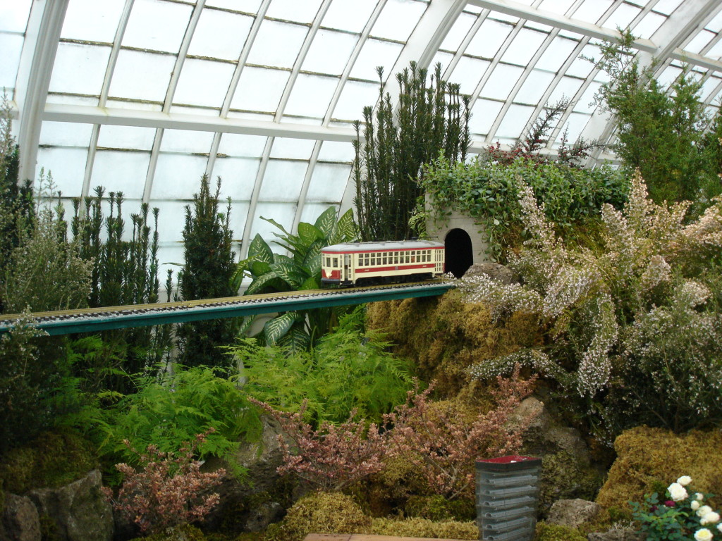 Garden railway