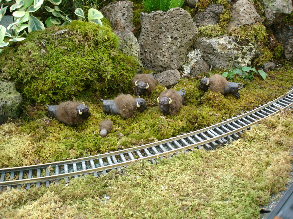 Garden railway