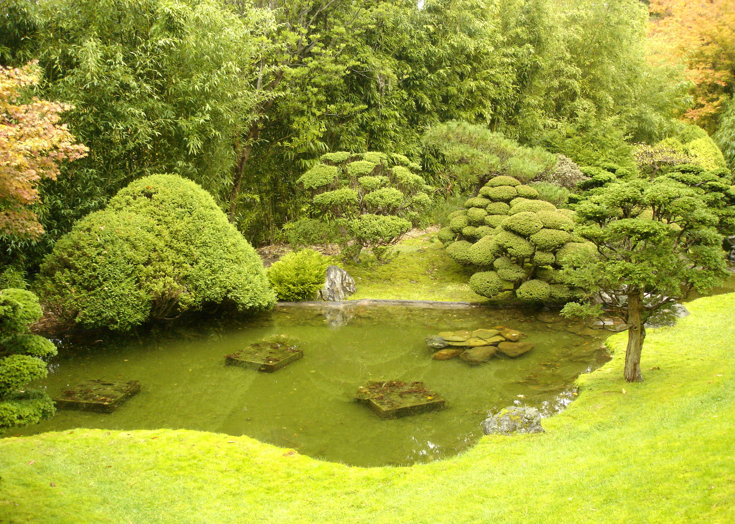 the-japanese-tea-garden-in-san-francisco-s-golden-gate-park-part-3