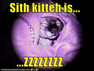 Sith Kitsy