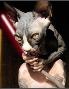 sithcat