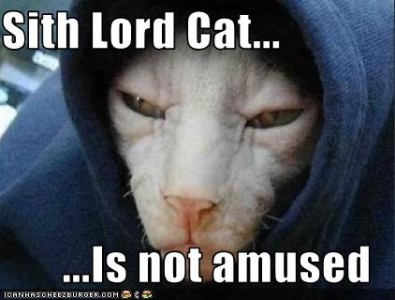 sithcat-not-amused-395x300.jpg