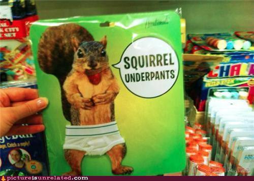 squirrel underpants