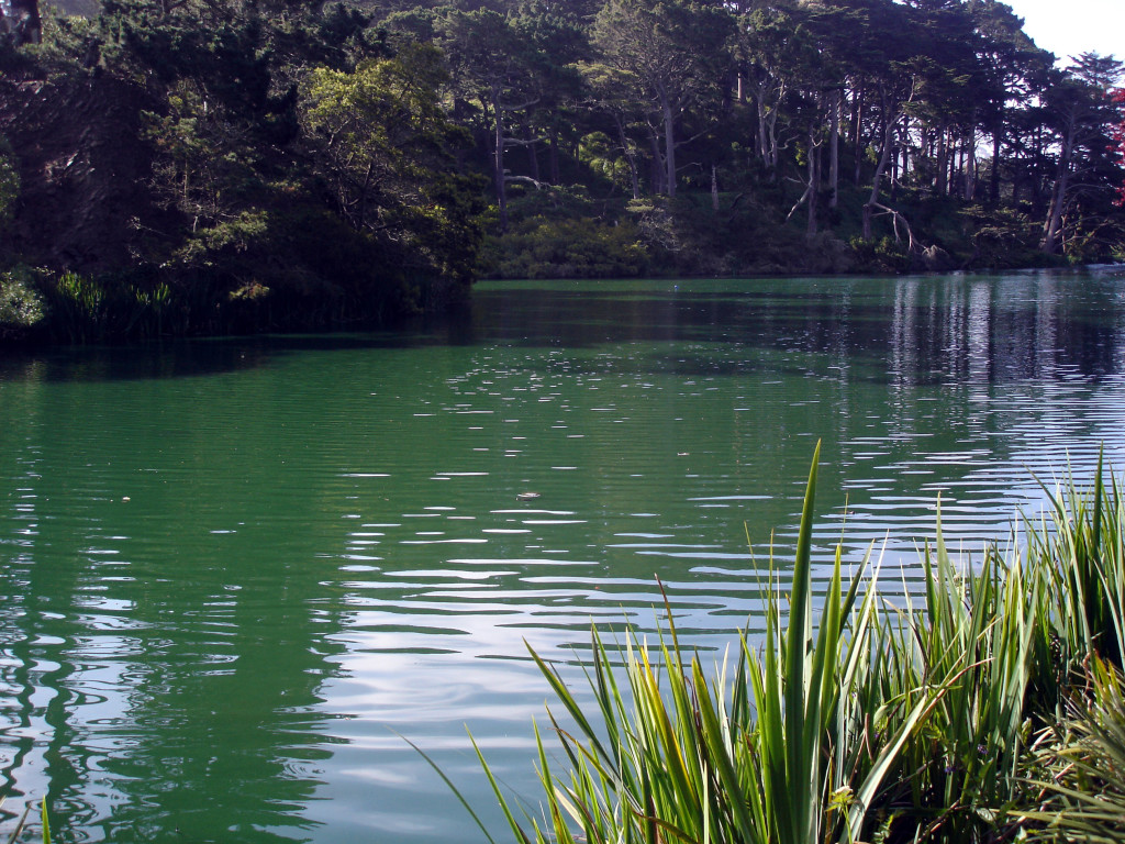 Stow Lake