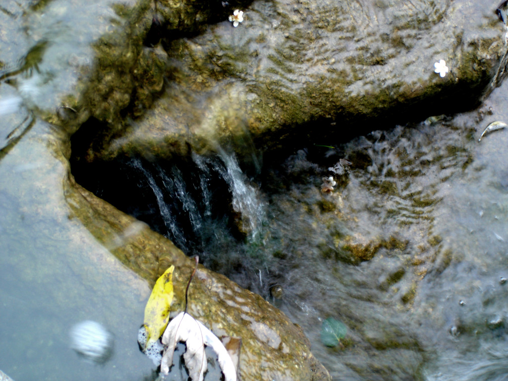 Stow Lake