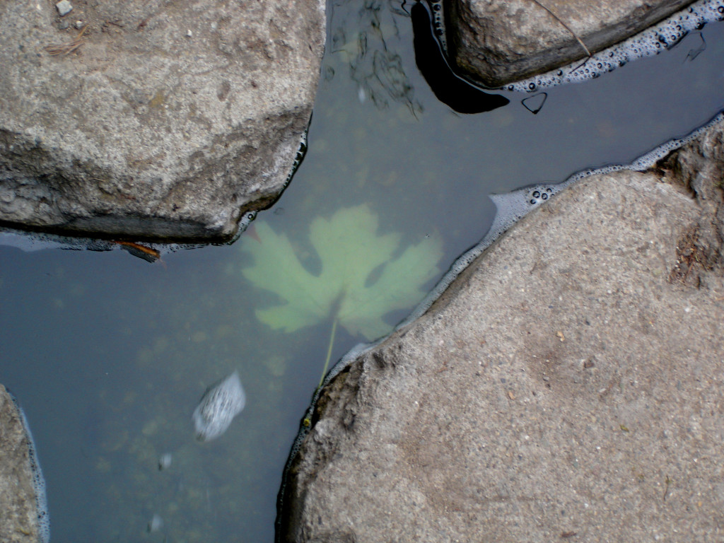 Stow Lake