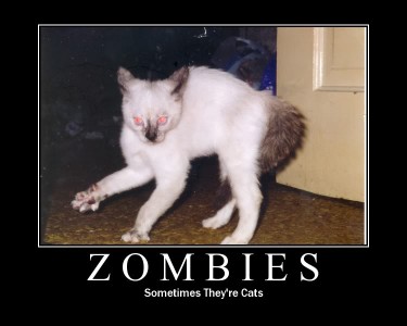 Zombie Cat