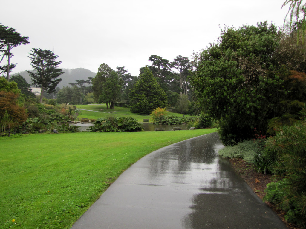 Strybing arboretum