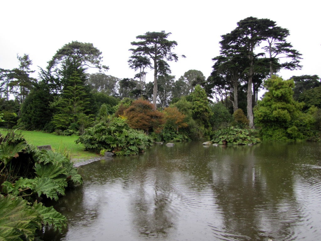 Strybing arboretum