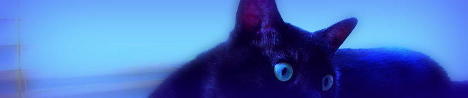 jellybeansofdoom.com