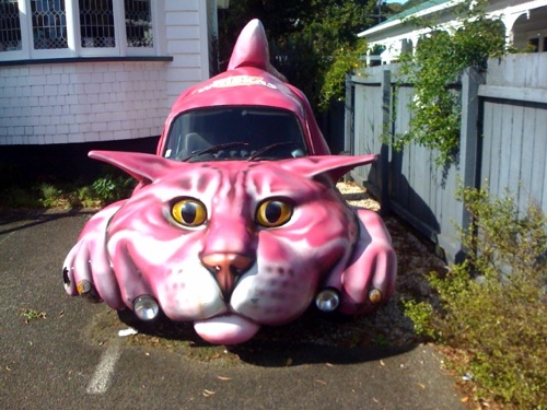 the catmobile