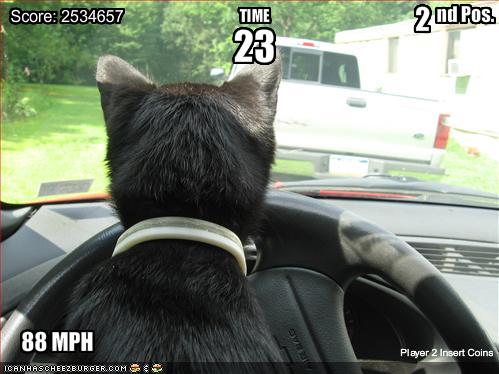 Auto Racing Disasters on Circus Funny Pictures Cat Is In A Racing Game     Jellybeansofdoom Com