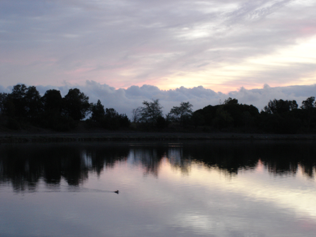 2012 shoreline sunrise