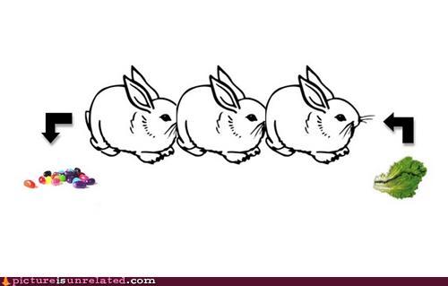 easter centipede