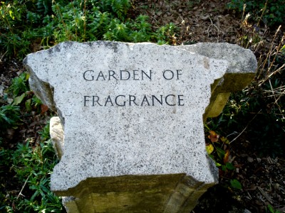 Garden of fragrance