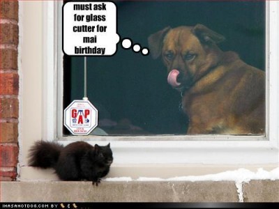 dog birthday wish