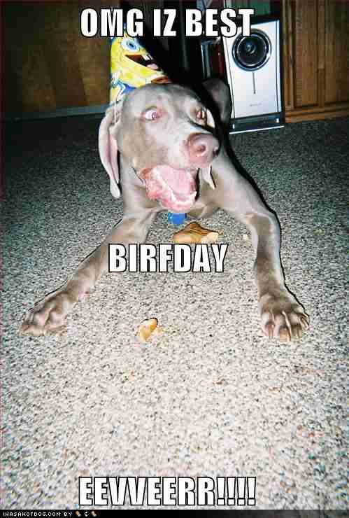 dog birthday