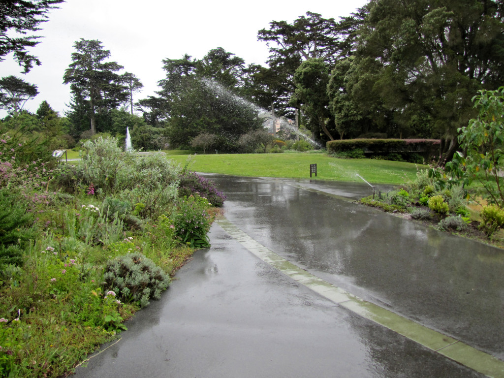 Strybing Arboretum