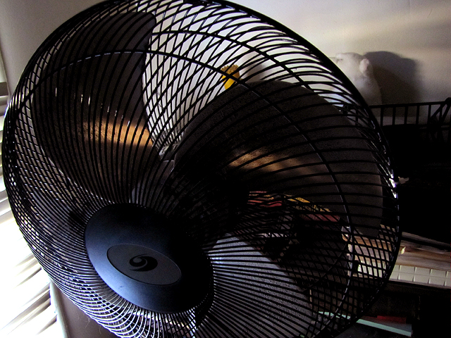 The fan of eebil