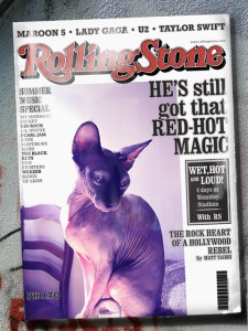 Kitsy Rolling Stones cover
