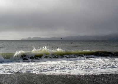 Baker Beach gulls over waves