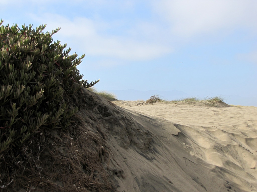 Ocean Beach