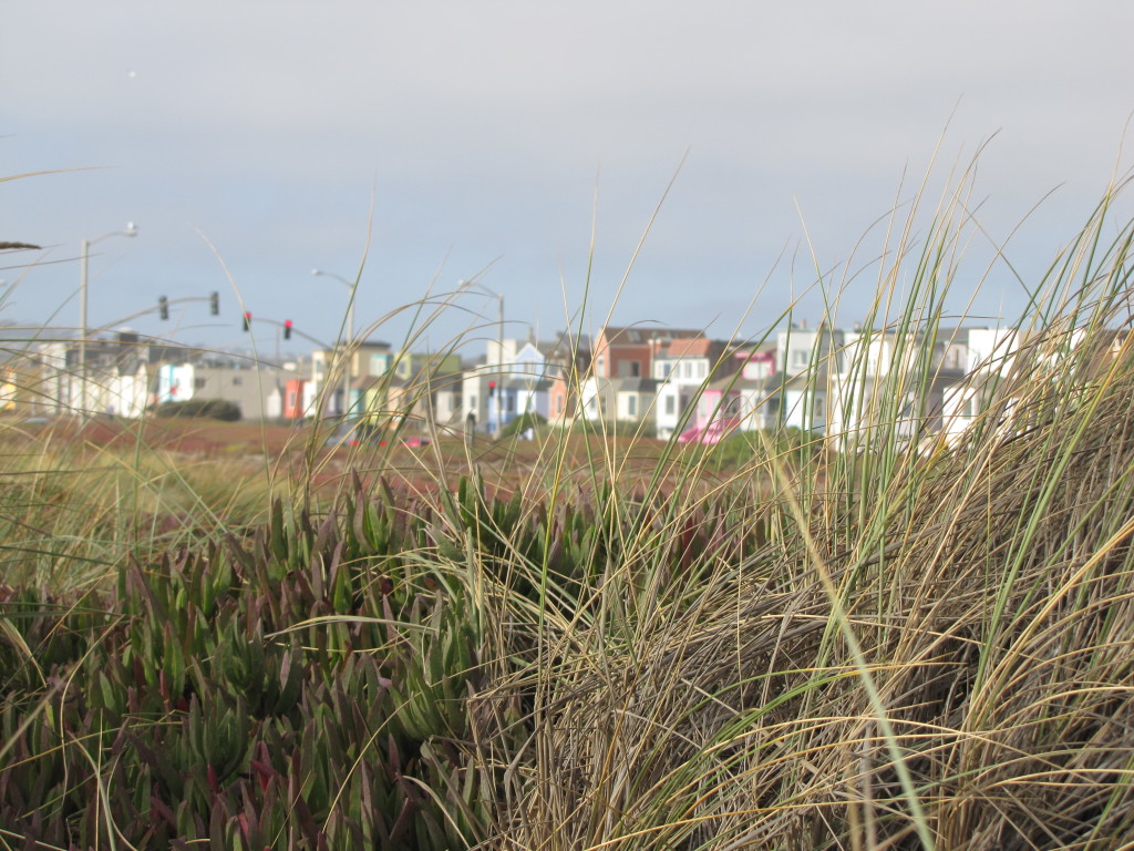 Ocean Beach