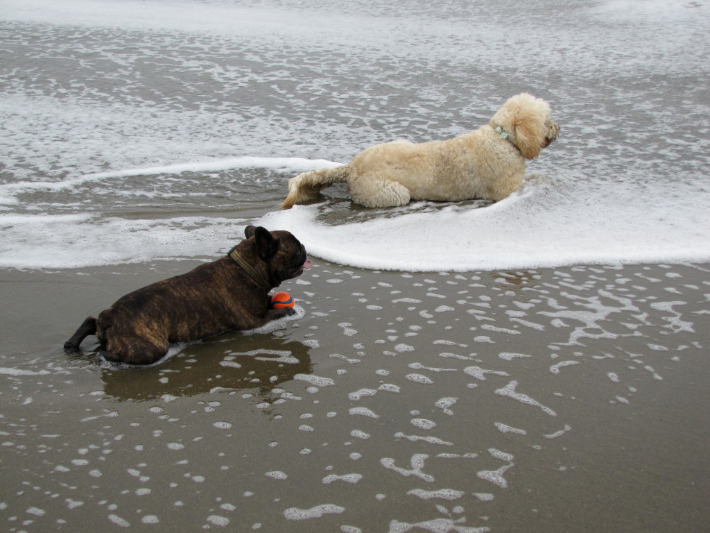 Baker Beach