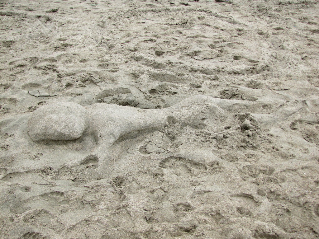 Baker Beach