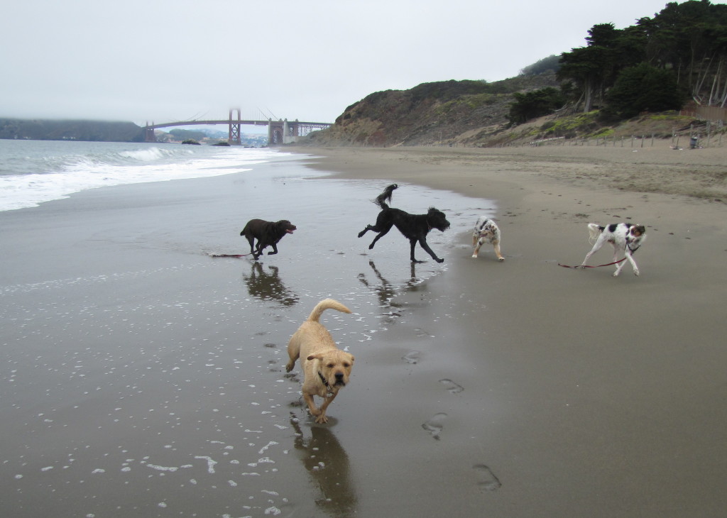 Baker Beach