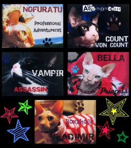Famous kitty autographs