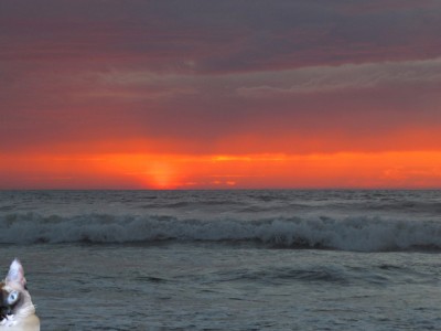 Ocean Beach sunset