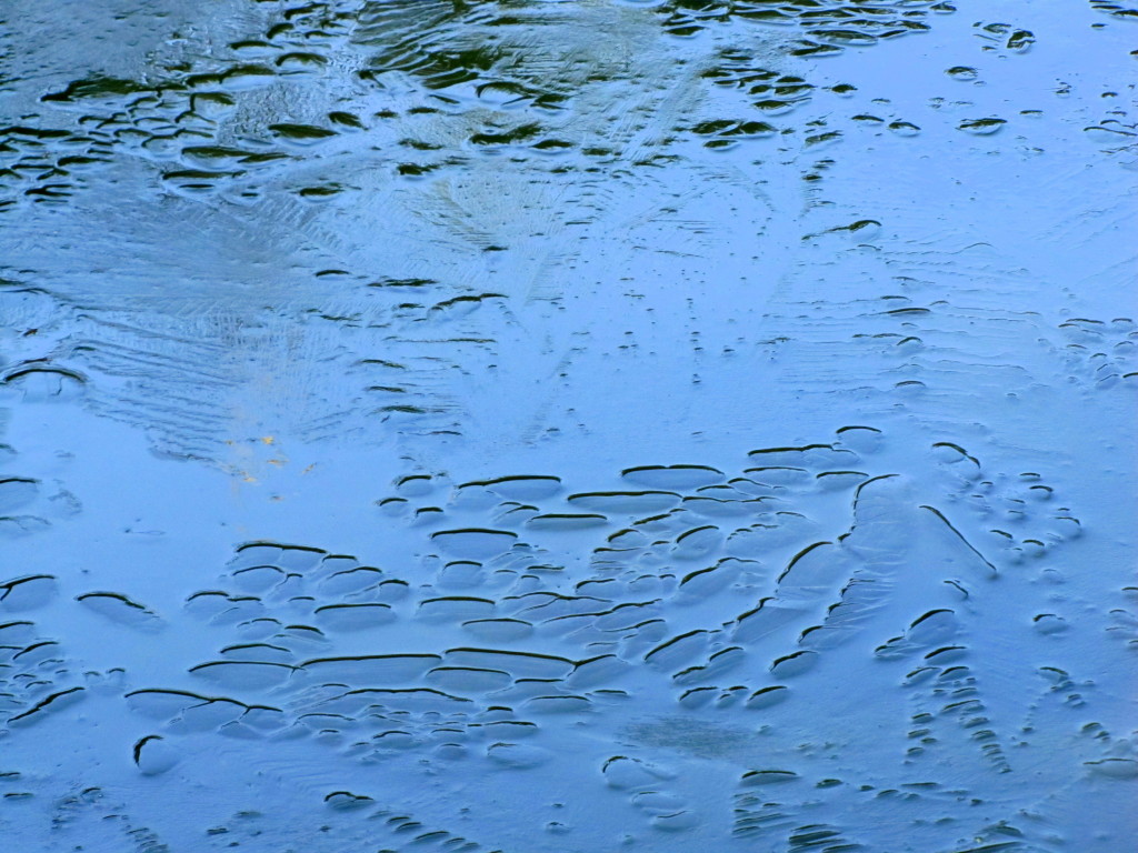 Ice on the pond