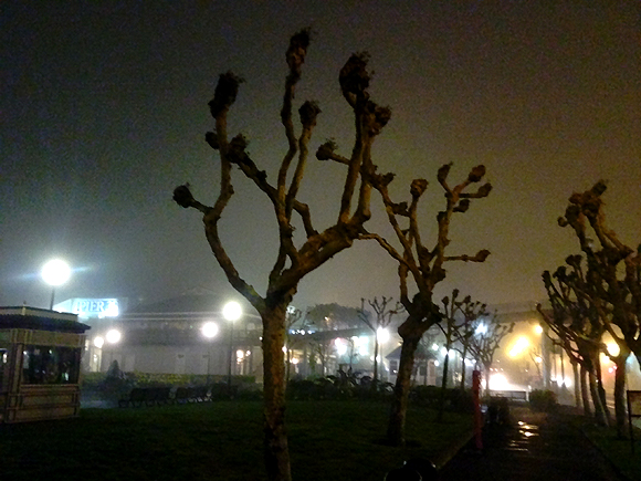 The Embarcadero in the fog