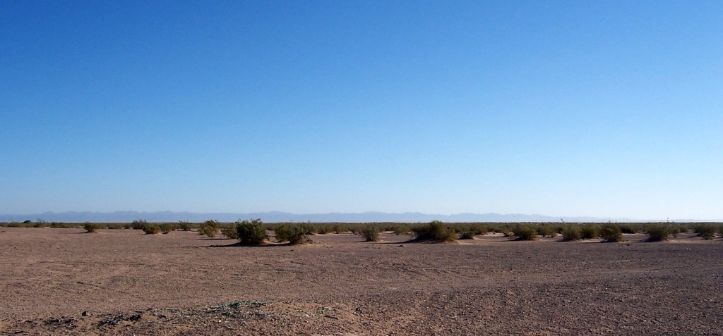 The Sonoran Desert in Southern California