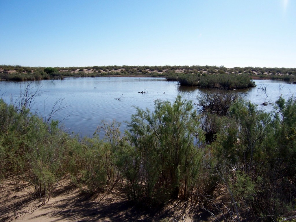 This pond is probably the result of the Easter Sunday Earthquake of 2010