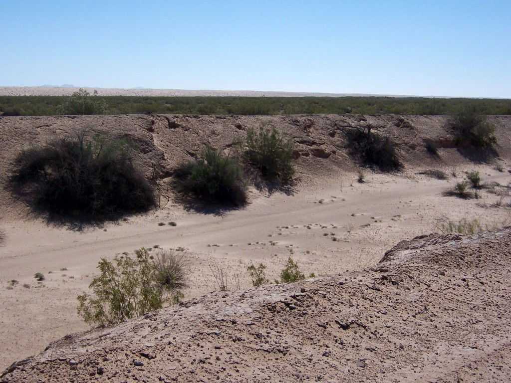 Old Coachella Canal