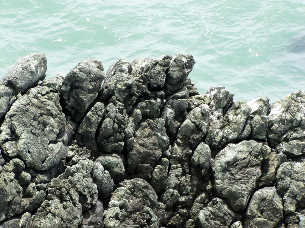 A closeup of the rocks in the previous photo. This is a beautiful example of pillow lava. Photo by Rudha-an