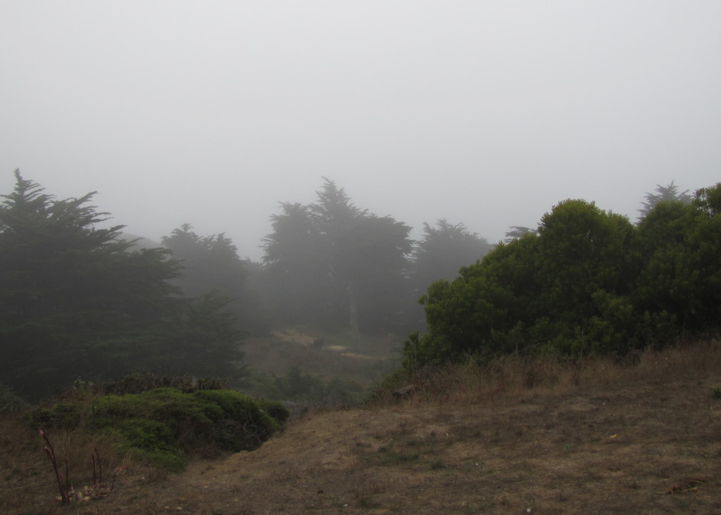 Hiding behind Karl is the Golden Gate Bridge and our city. 