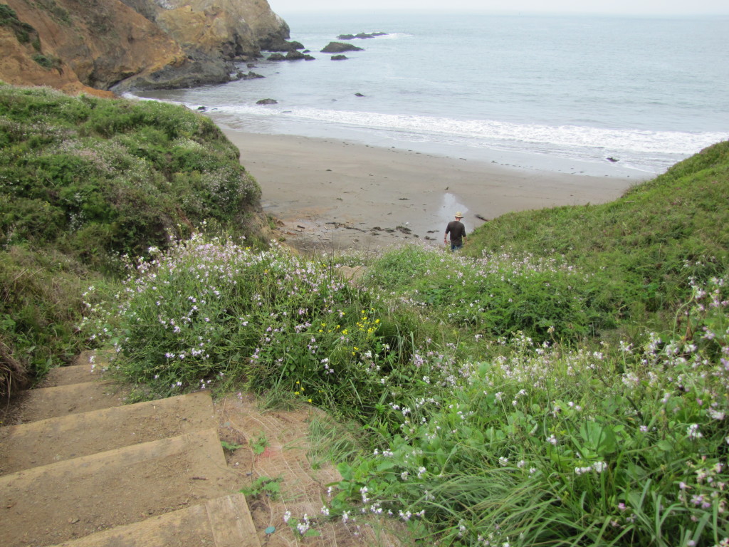 We hiked down the trail to the south end of Rodeo Cove.