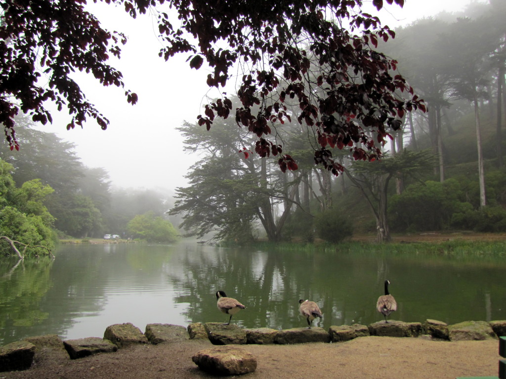 Stow Lake