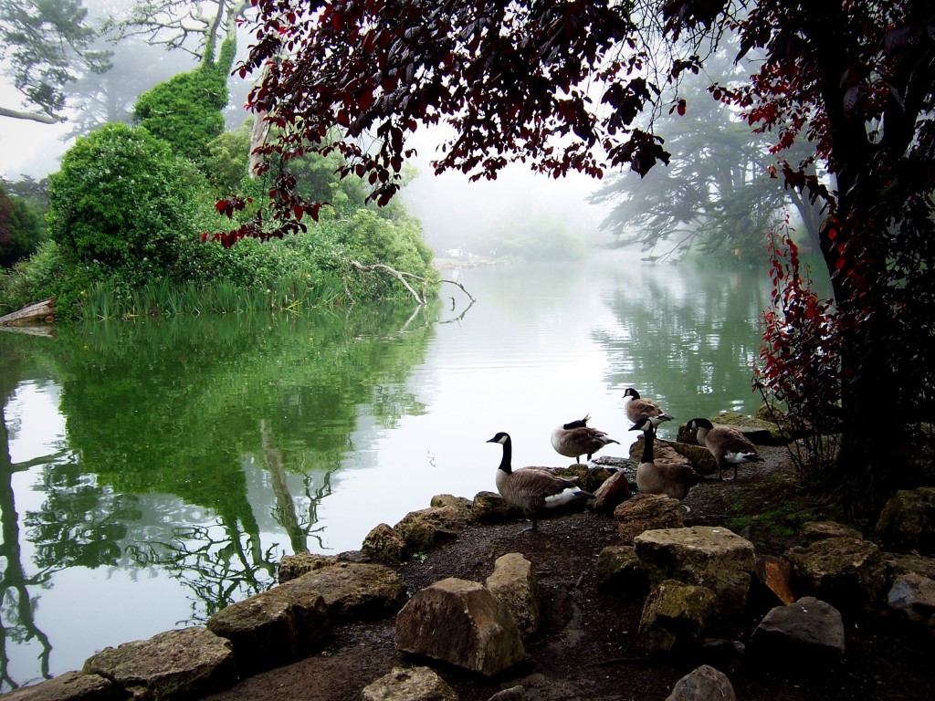 Stow Lake