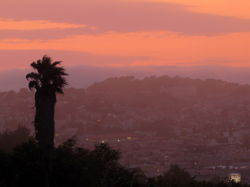 Bernalwood Sunset 