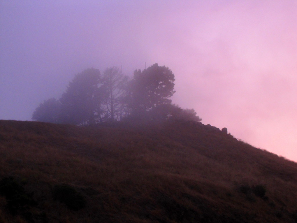 Bernalwood Sunset