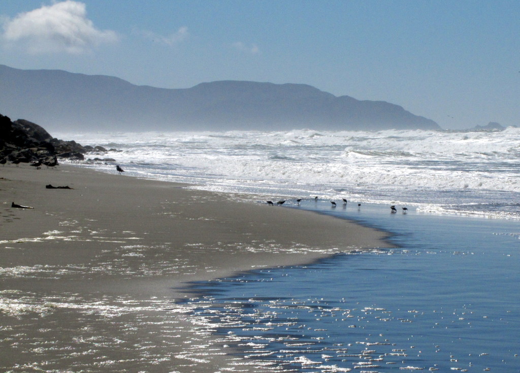 I love empty beaches. Ok, not quite empty as there were plenty of birds. That haze is sand as it was a tad windy.