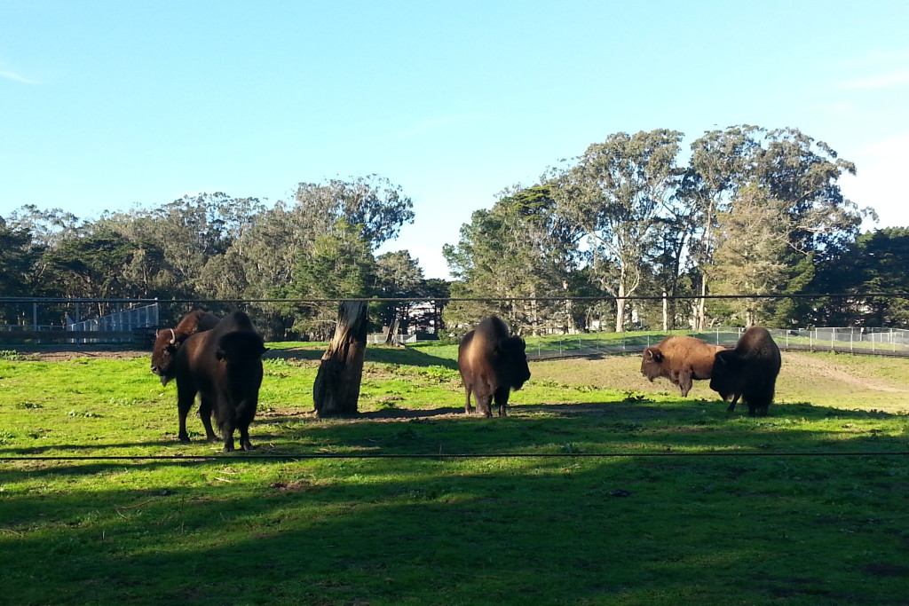 We were at the park recently and the girls were out